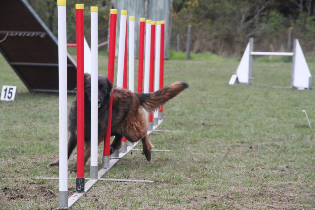 souvenirs-2014 JPG (44)