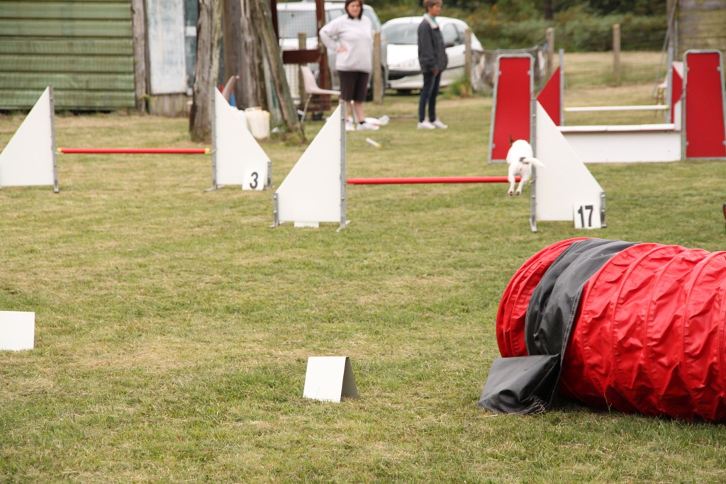 souvenirs-2014 JPG (444)