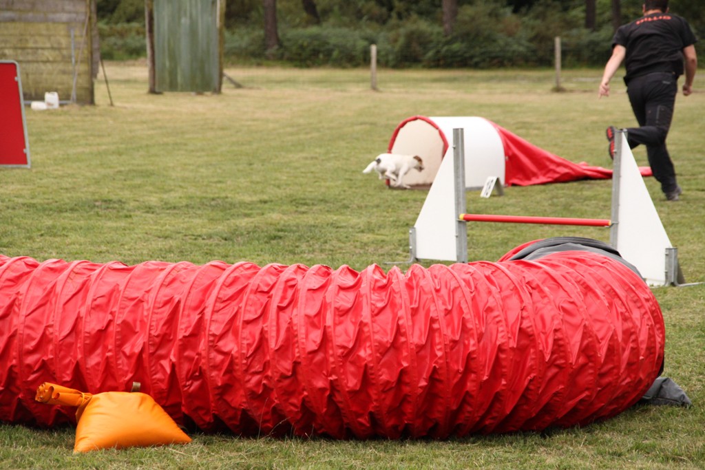 souvenirs-2014 JPG (445)