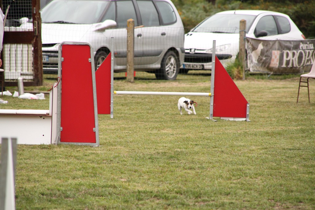 souvenirs-2014 JPG (447)