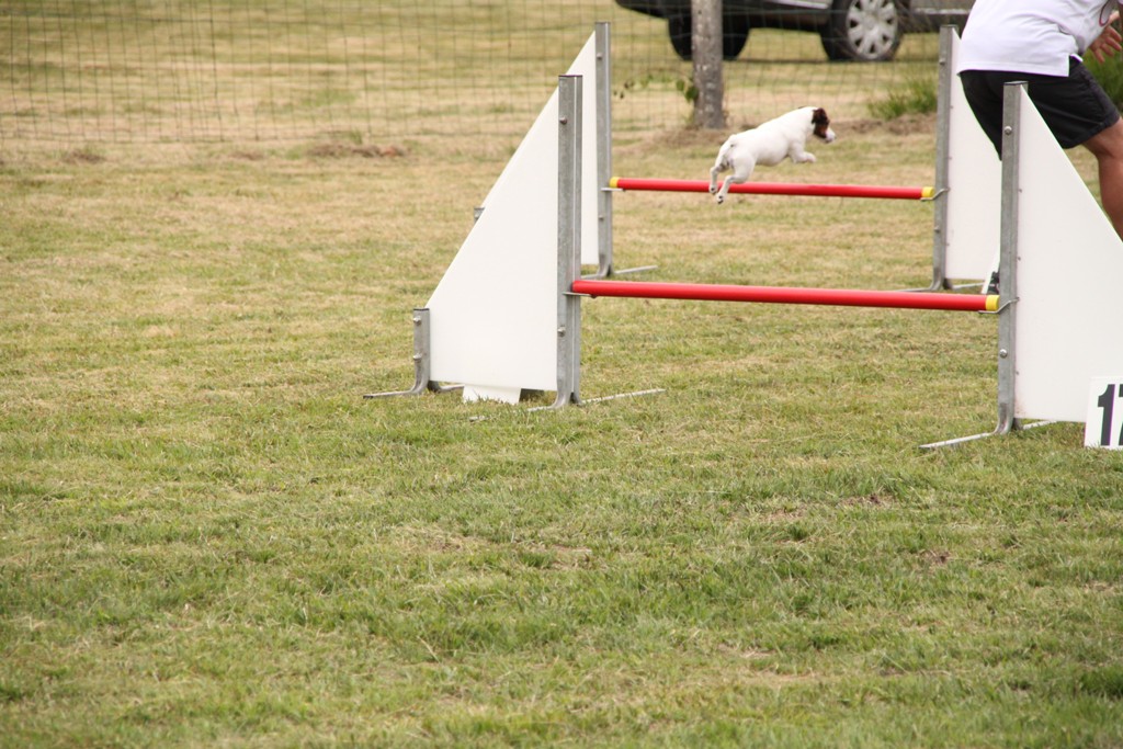 souvenirs-2014 JPG (448)