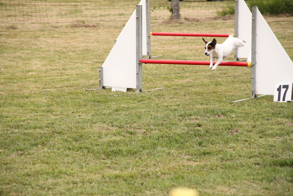 souvenirs-2014 JPG (449)