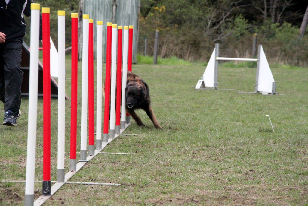 souvenirs-2014 JPG (45)