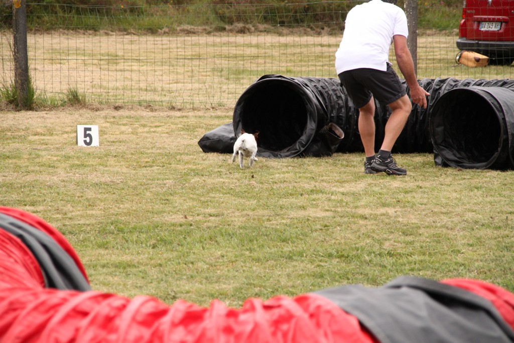 souvenirs-2014 JPG (450)