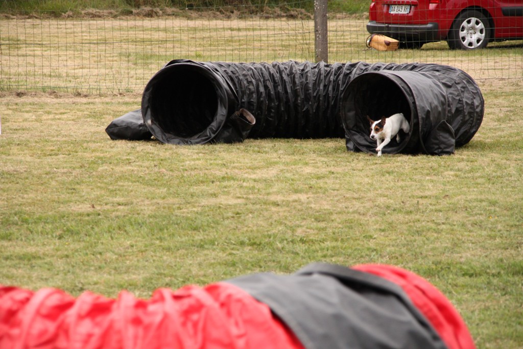 souvenirs-2014 JPG (451)