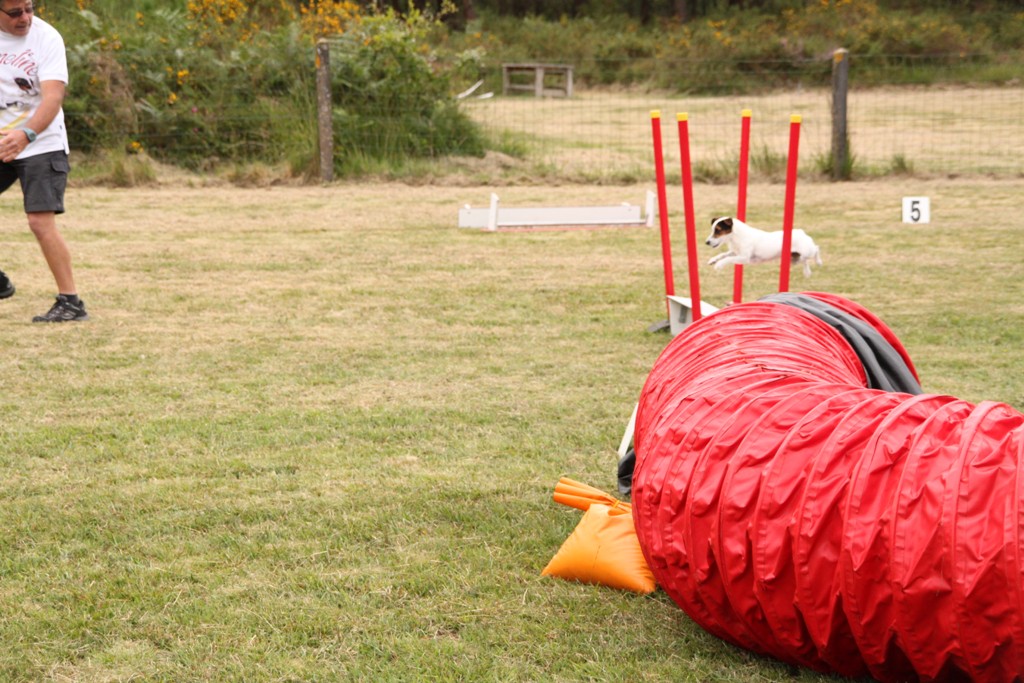 souvenirs-2014 JPG (452)