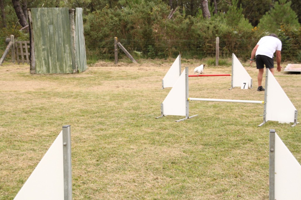 souvenirs-2014 JPG (454)