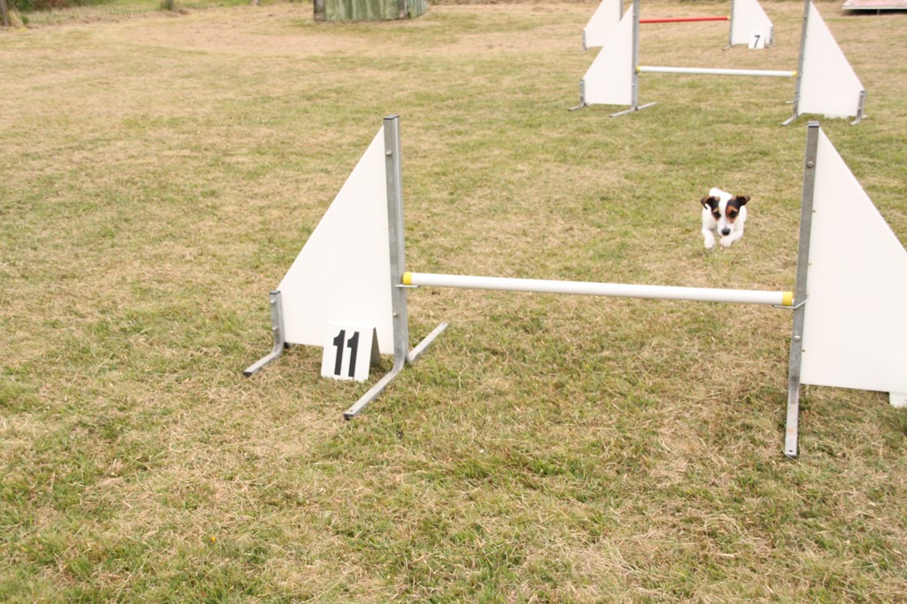 souvenirs-2014 JPG (456)