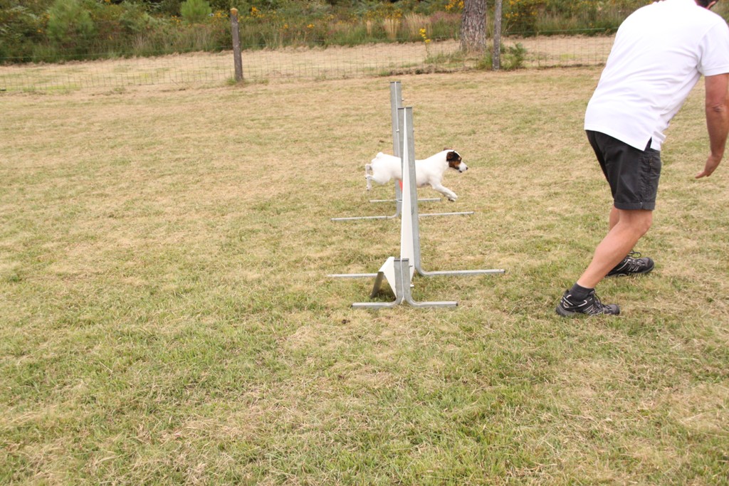 souvenirs-2014 JPG (457)