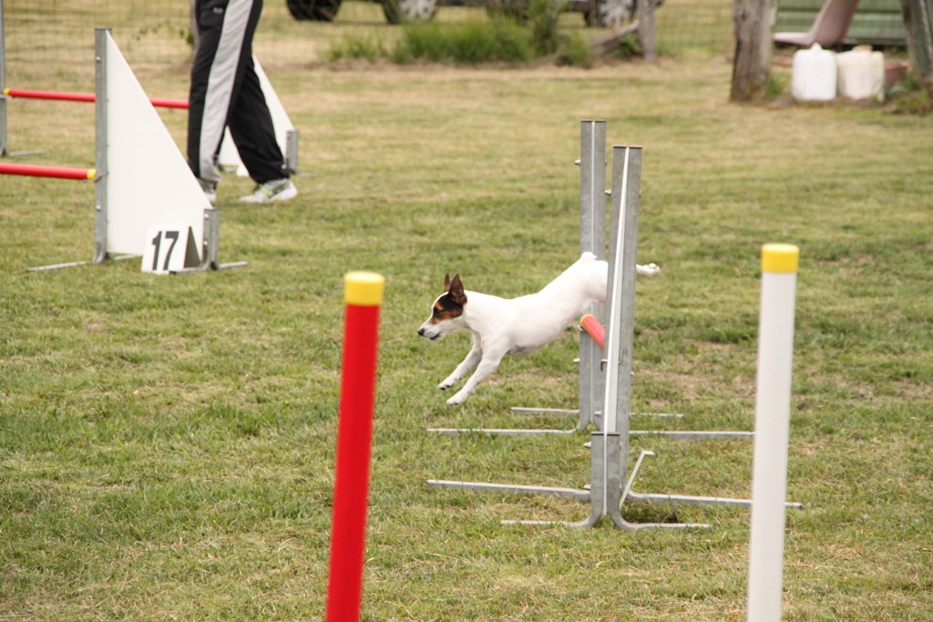 souvenirs-2014 JPG (460)