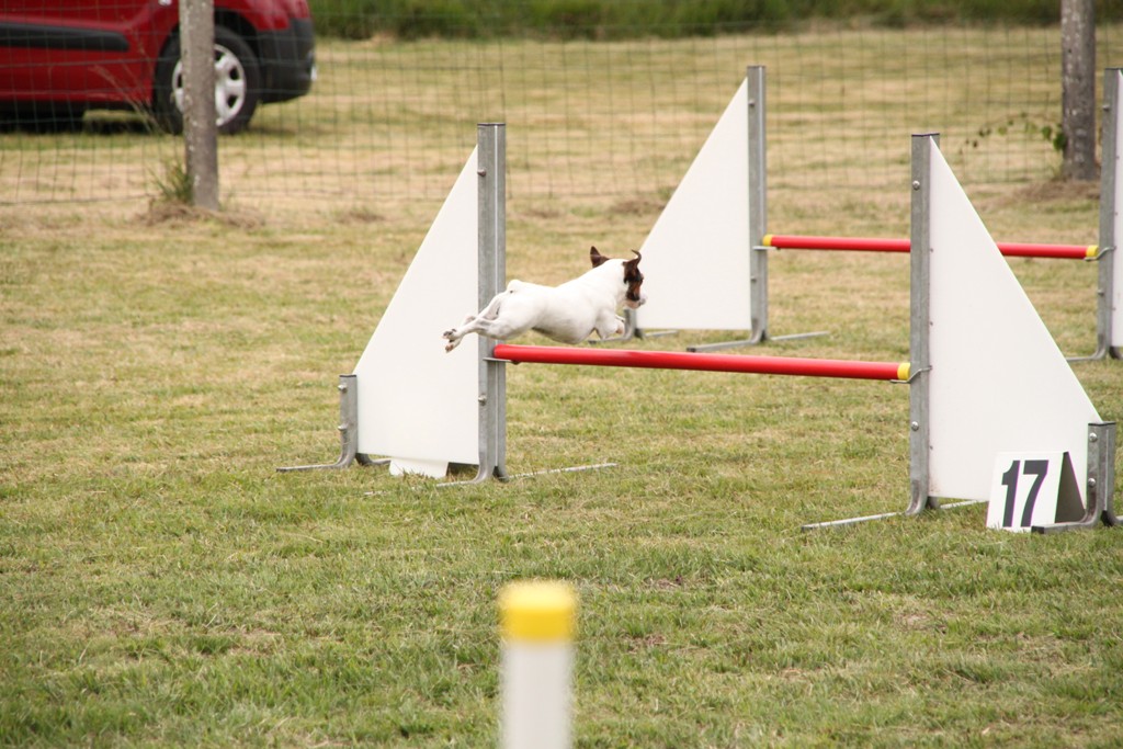 souvenirs-2014 JPG (461)