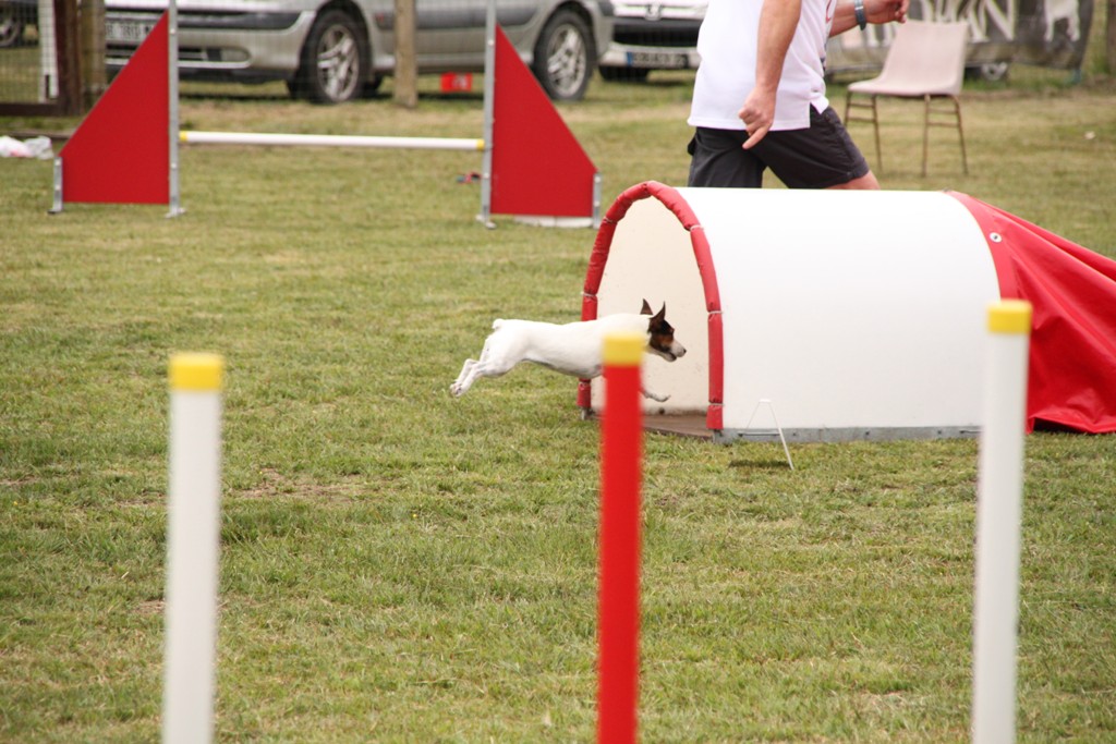 souvenirs-2014 JPG (462)