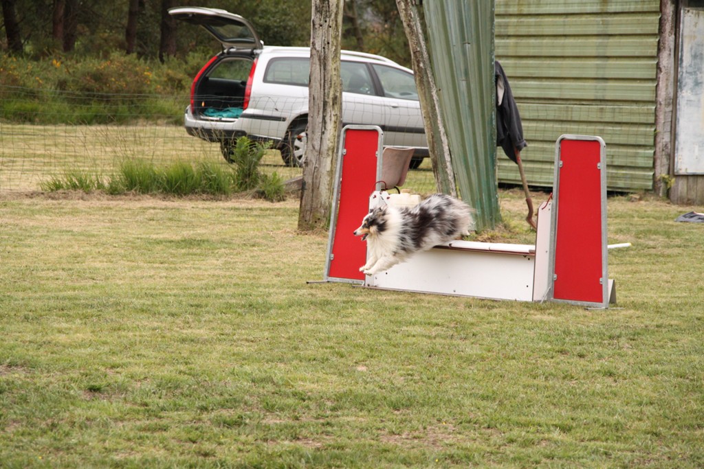 souvenirs-2014 JPG (465)