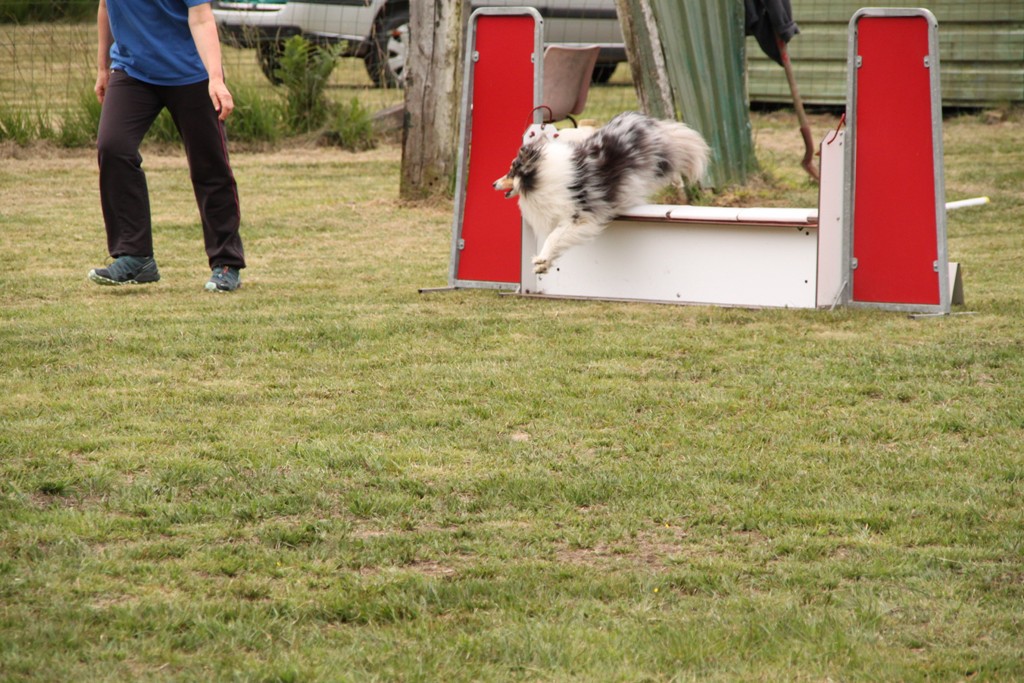 souvenirs-2014 JPG (466)