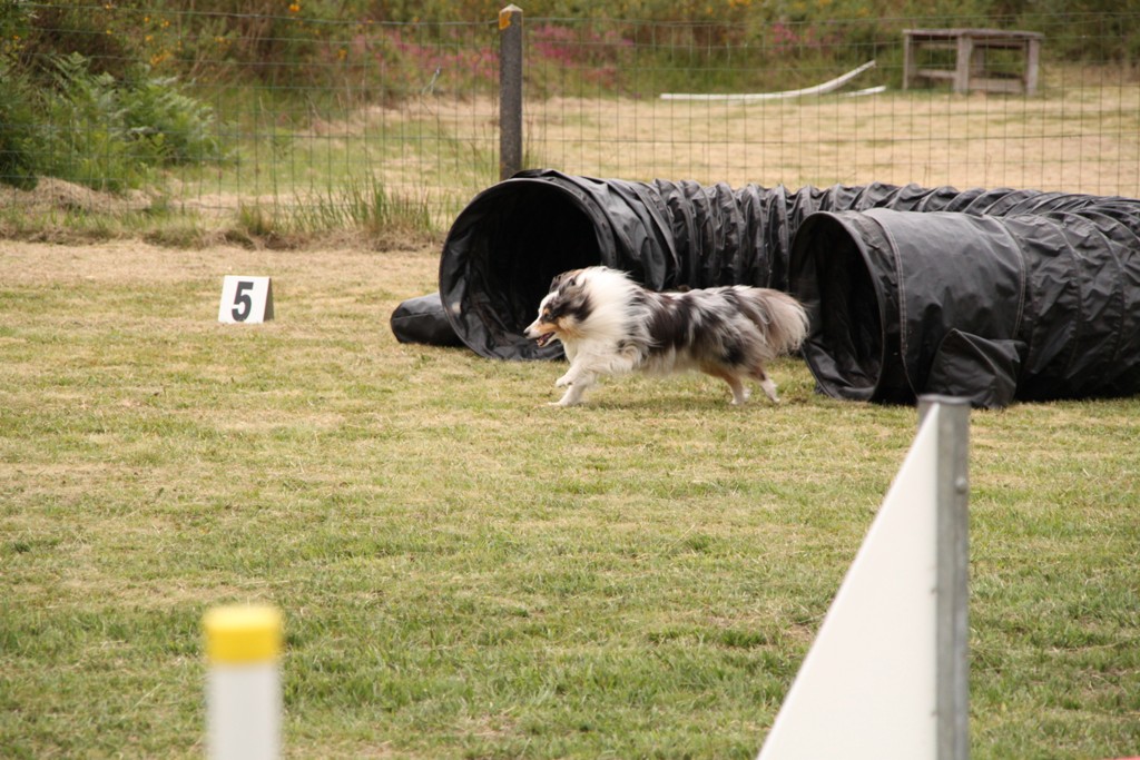 souvenirs-2014 JPG (470)