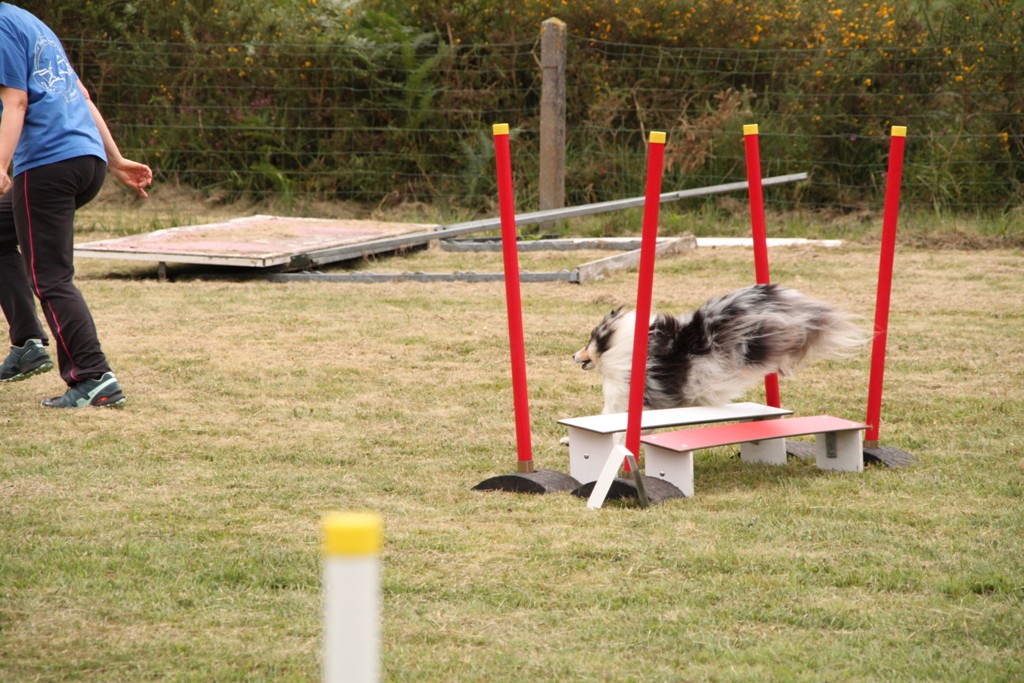 souvenirs-2014 JPG (471)