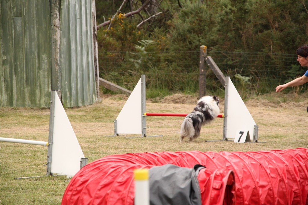 souvenirs-2014 JPG (472)