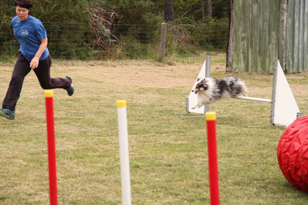 souvenirs-2014 JPG (473)