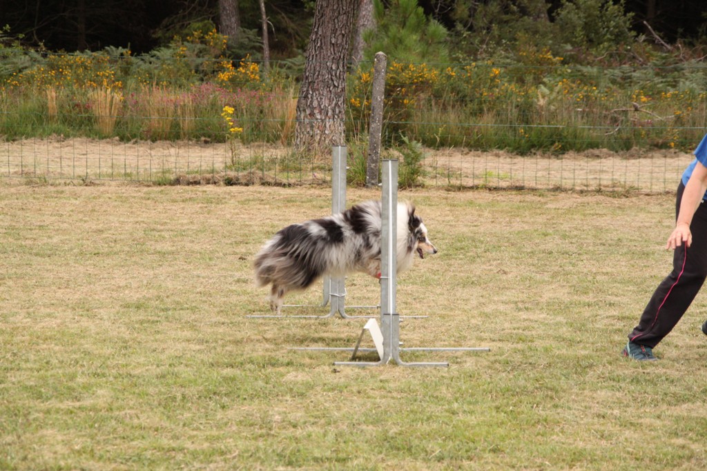 souvenirs-2014 JPG (475)