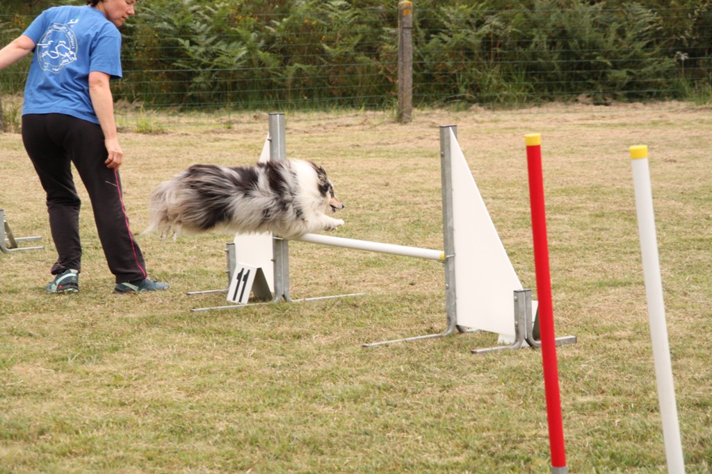 souvenirs-2014 JPG (476)