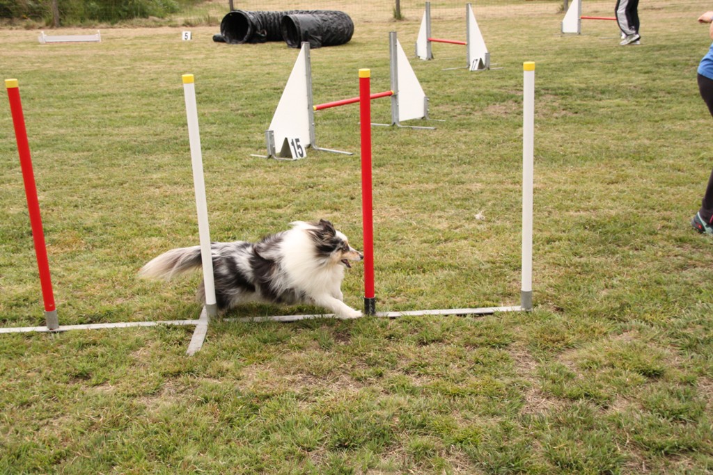 souvenirs-2014 JPG (478)