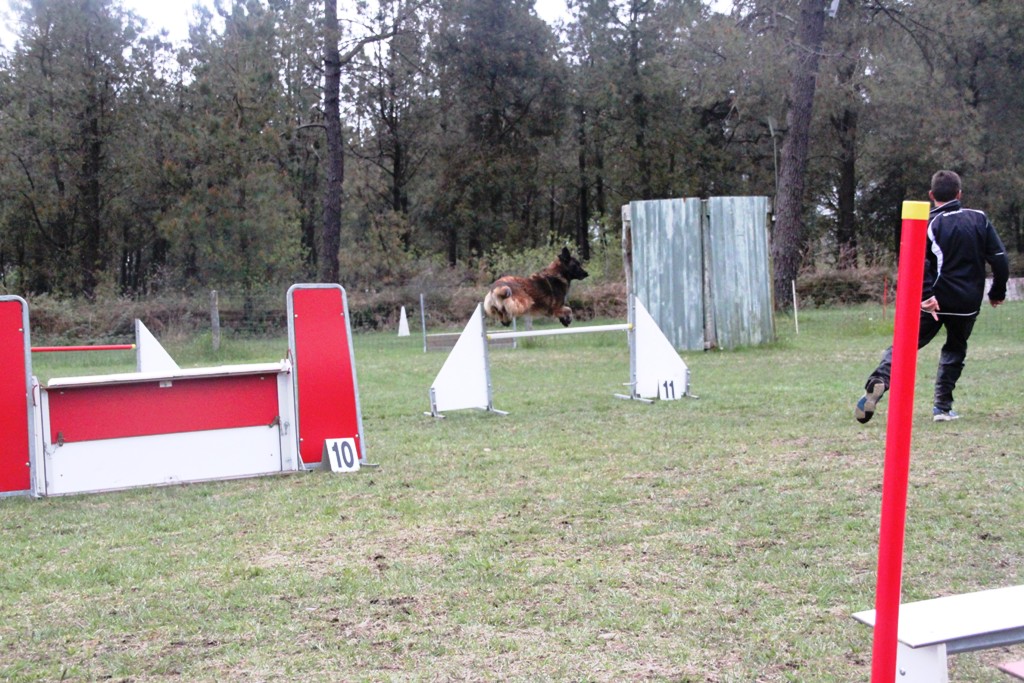 souvenirs-2014 JPG (48)