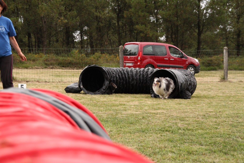 souvenirs-2014 JPG (484)