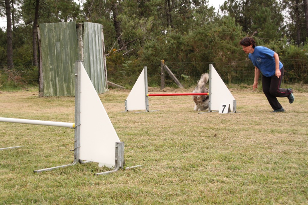 souvenirs-2014 JPG (485)