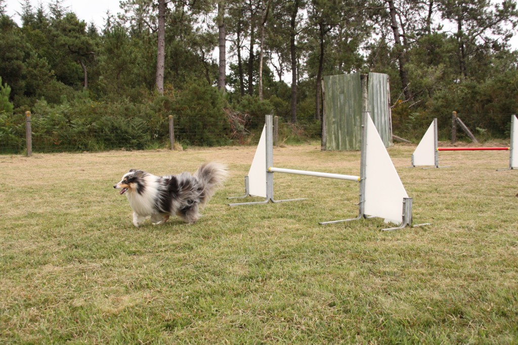 souvenirs-2014 JPG (486)