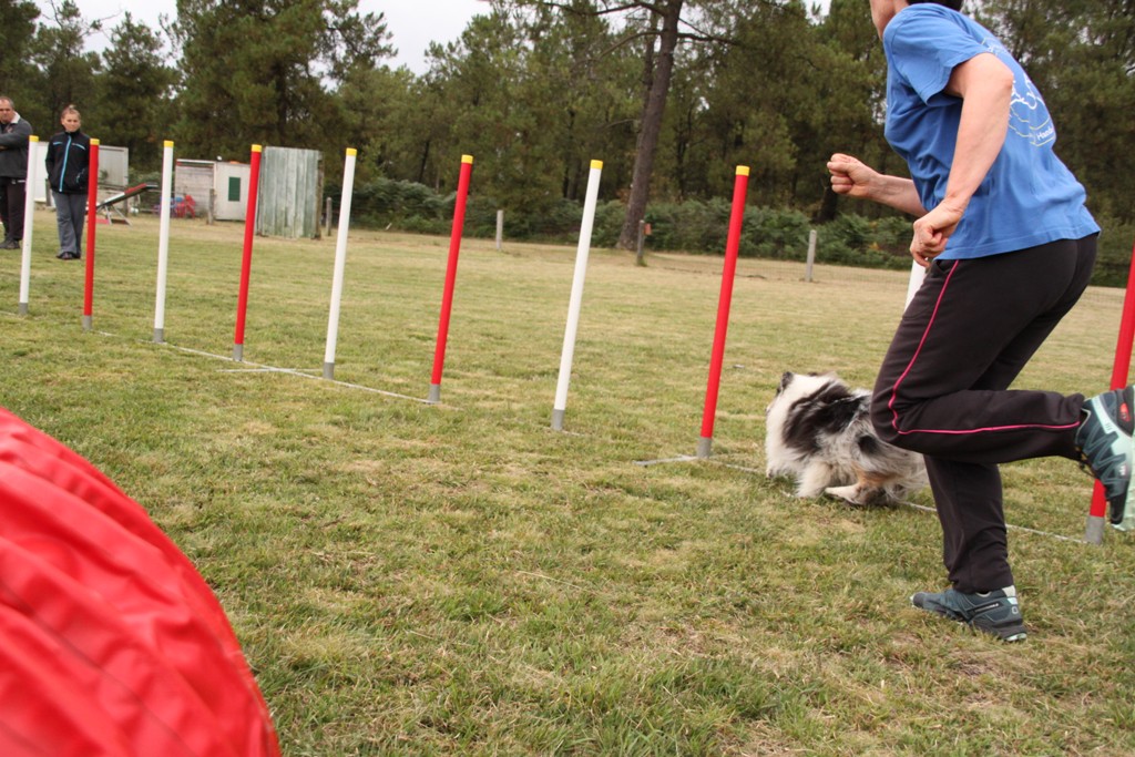 souvenirs-2014 JPG (487)