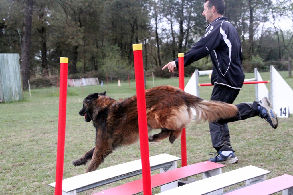 souvenirs-2014 JPG (49)