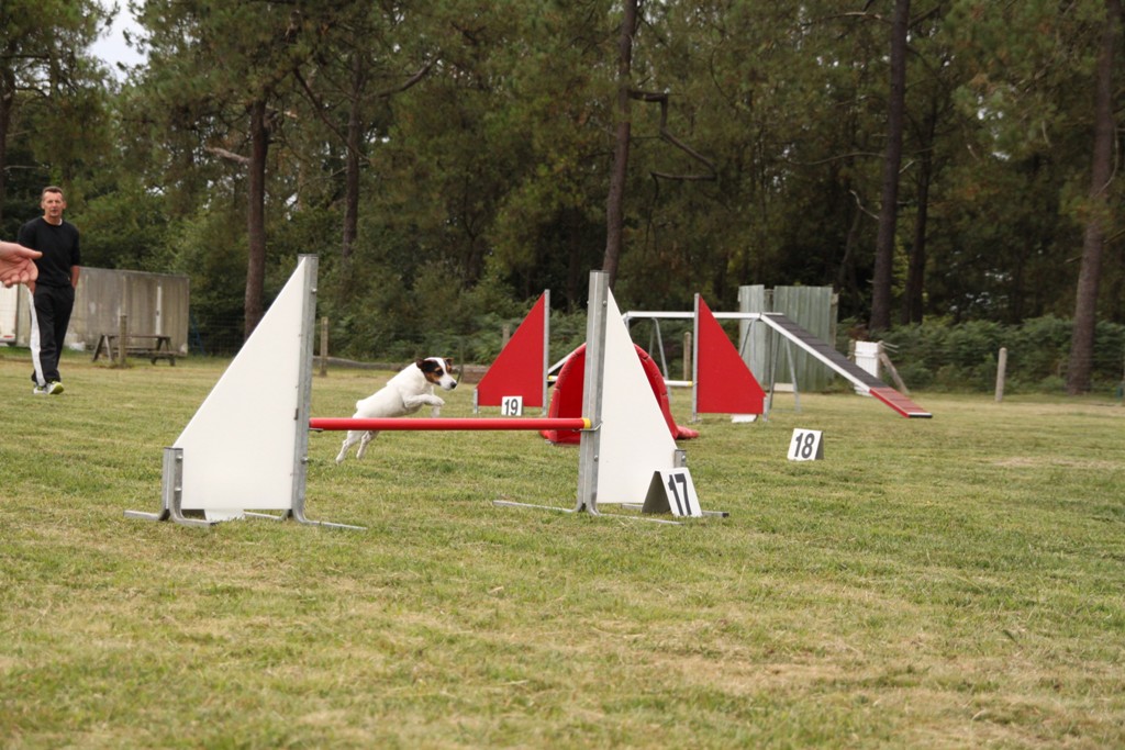 souvenirs-2014 JPG (491)