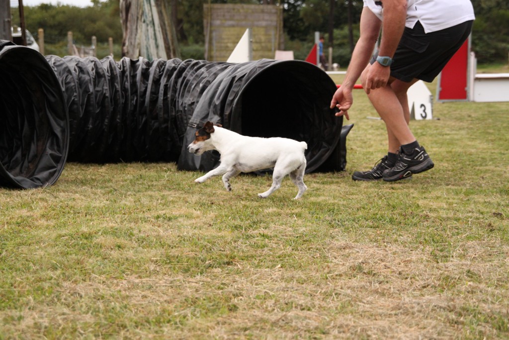 souvenirs-2014 JPG (493)