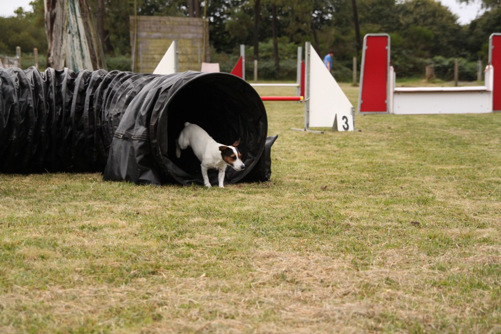 souvenirs-2014 JPG (494)