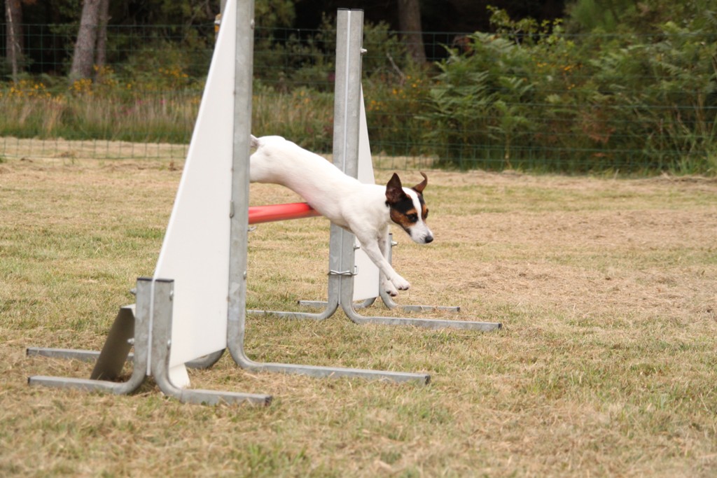 souvenirs-2014 JPG (495)