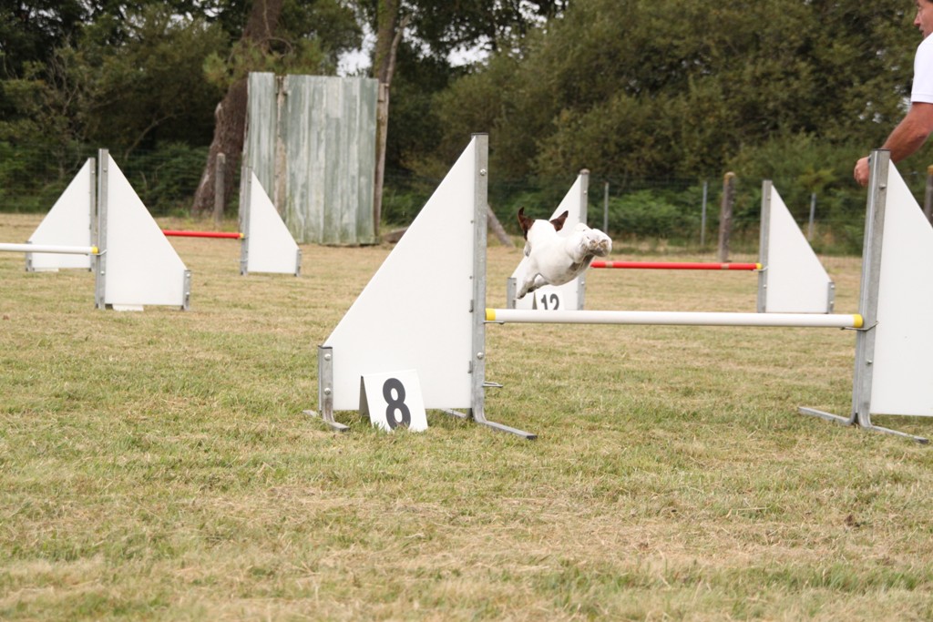 souvenirs-2014 JPG (496)