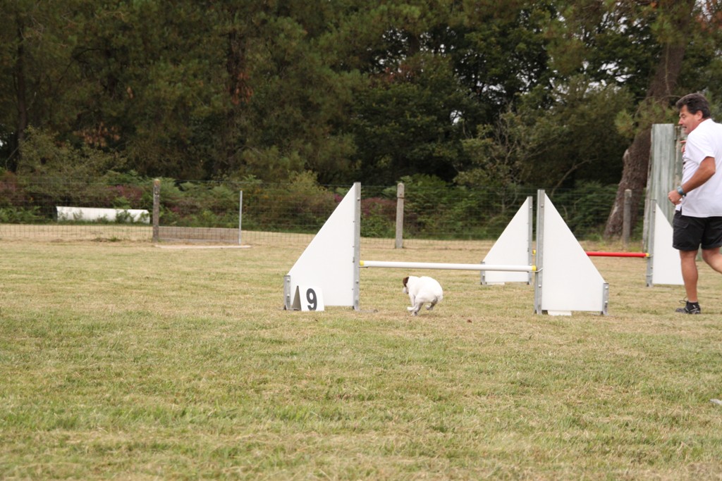 souvenirs-2014 JPG (497)