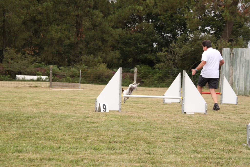 souvenirs-2014 JPG (498)