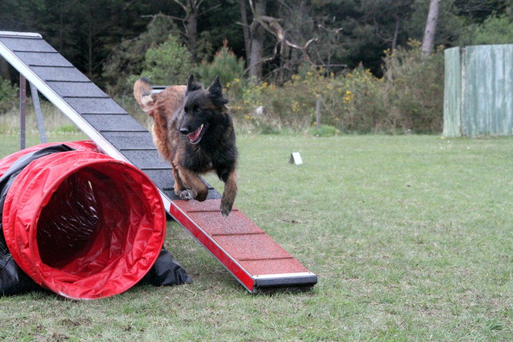 souvenirs-2014 JPG (50)