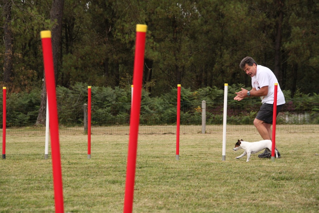 souvenirs-2014 JPG (500)