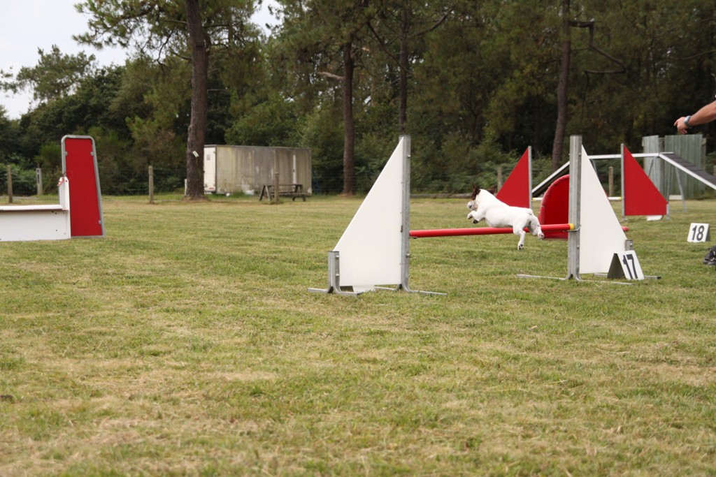 souvenirs-2014 JPG (502)