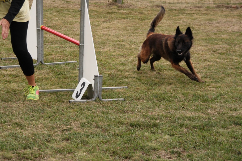 souvenirs-2014 JPG (503)