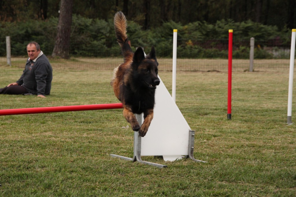 souvenirs-2014 JPG (504)