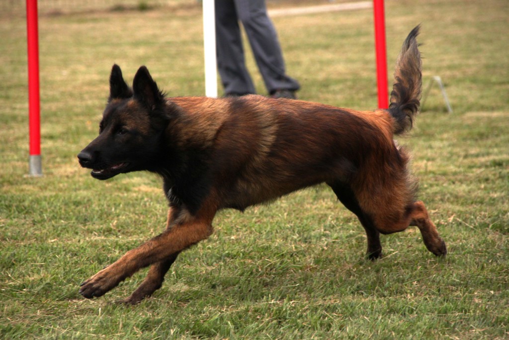 souvenirs-2014 JPG (505)