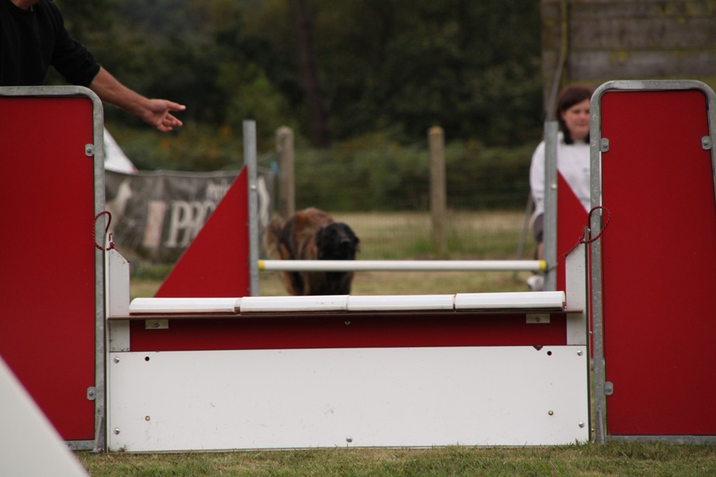 souvenirs-2014 JPG (509)