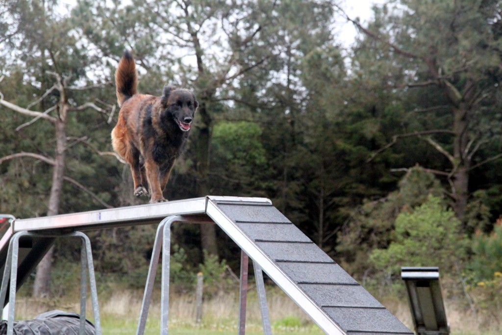 souvenirs-2014 JPG (51)