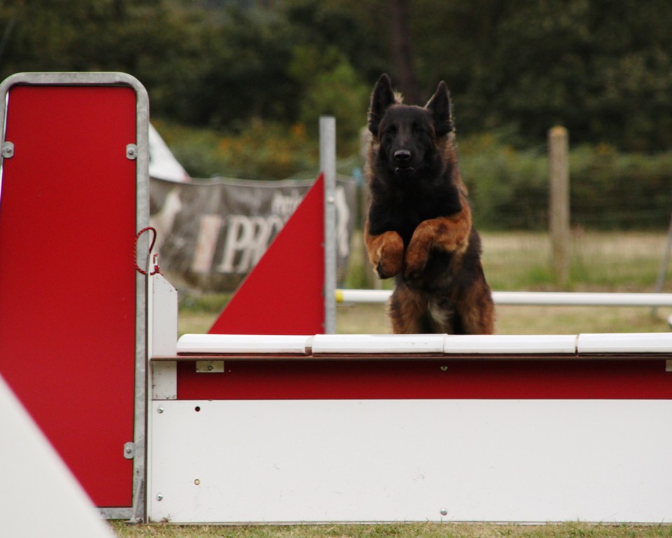 souvenirs-2014 JPG (510)