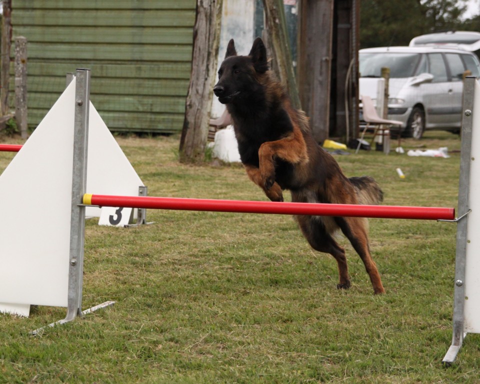 souvenirs-2014 JPG (511)