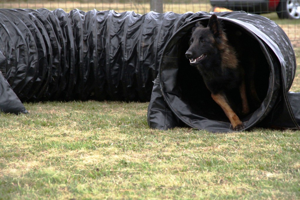 souvenirs-2014 JPG (512)