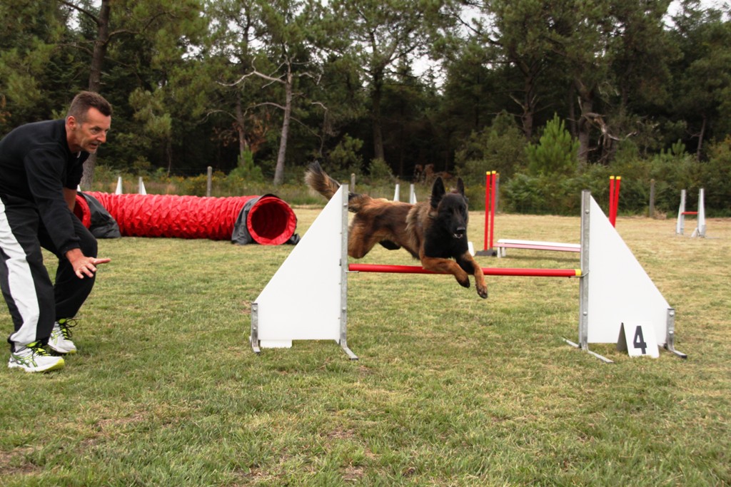 souvenirs-2014 JPG (513)